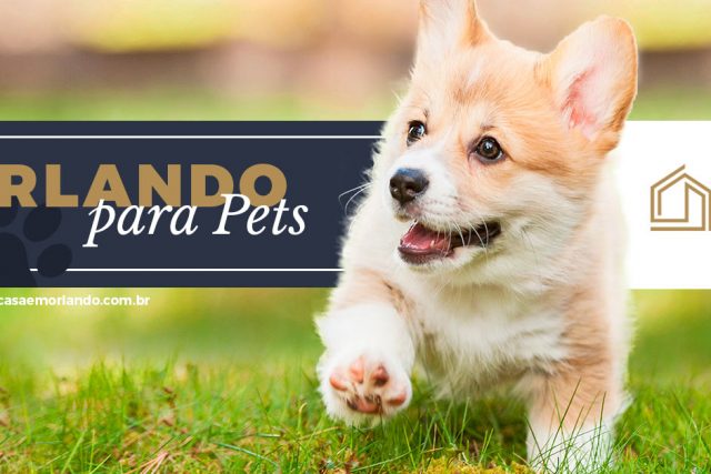 Orlando para Pets